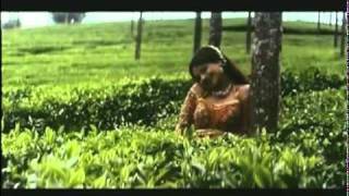 Poster aage pyar peechhe pyar