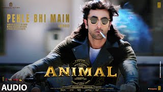Poster Pehle Bhi Main Lyrics – Animal | Vishal Mishra