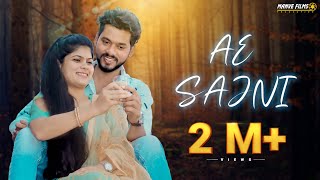 Poster hey sajni