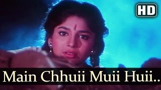 Poster main chhui mui huee