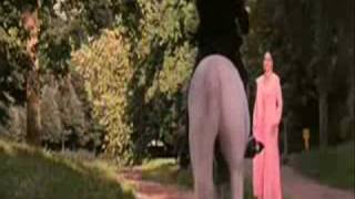 Poster chanda ki chandni"