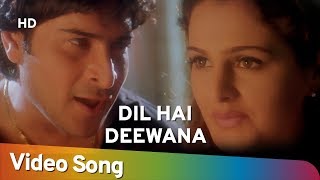 Poster dil hai deewana