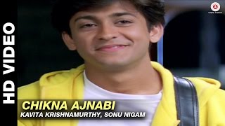 Poster chikna ajnabee