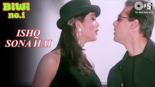 Poster ishq sona hai