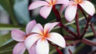 Poster ishwar allah tere naam lyrics – mohammed rafi