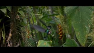 Poster let me praise lyrics – babbu maan