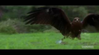 Poster mausam ki ravani