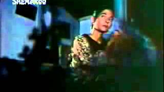 Poster chandani raat