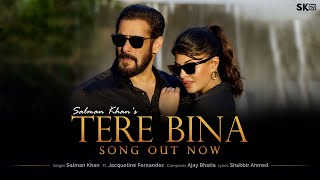 Poster tere bina lyrics – salman khan | तेरे बिना
